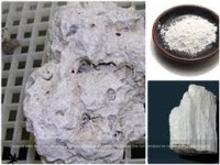 /album/rocas-calizas/images-2-jpg5/